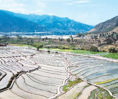 凉山_2025精准资料免费解答,批判翻页、全面解答与解释