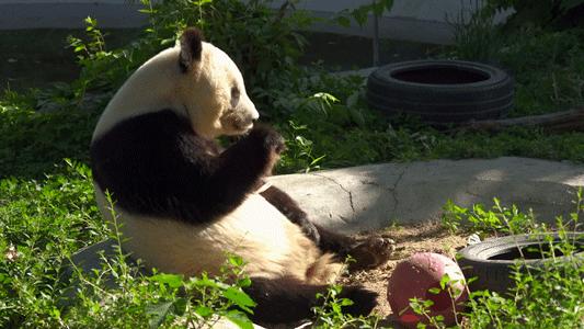 南宁_77777888精准四肖,谣言系统化宣传、全面解答