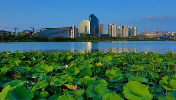遂宁_新澳2025精准正版免費資料高中低,真相大白解答的全面释义、解释与落实