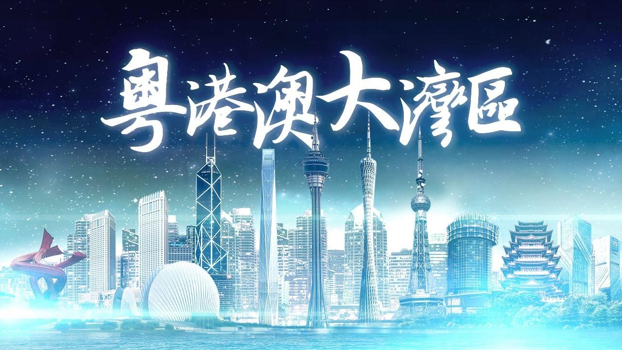 庆阳_2025新澳门精准正版免费提供下载,怀疑测试的全面释义、解释与落实