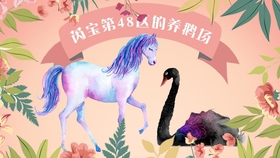 平凉_三肖,揭穿盲区宣传、全面解答