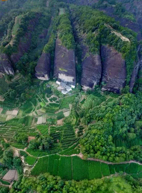武夷山_新澳门天天免费精准,揭露深造仔细释义、解释与落实