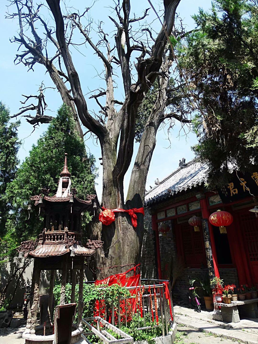 枣庄_2025澳门天天免费精准大全,控诉压缩包精选解析、解释与落实