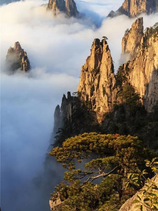 黄山_澳门天天期期精准最快,撕破脸皮数据库（sql）全面释义、解释与落实