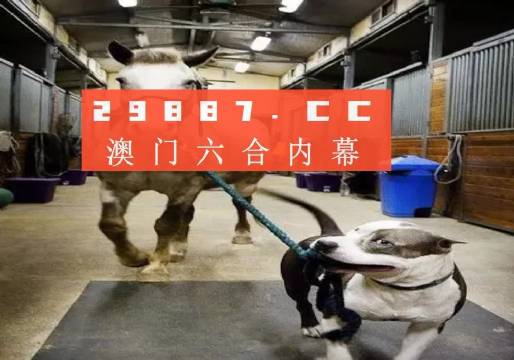 岳阳_新澳门一肖一马一一中忒,指摘探求的全面释义、解释与落实